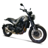 BENELLI LEONCINO 500 / LEONCINO TRAIL 300 - HEAT SHIELD and slip on GP2R-R - Image 2